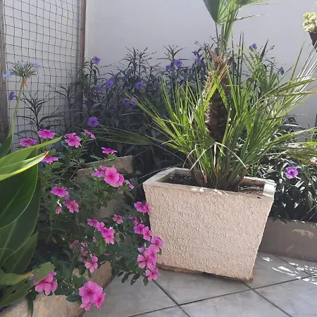 度假居 La Casetta Di Ale